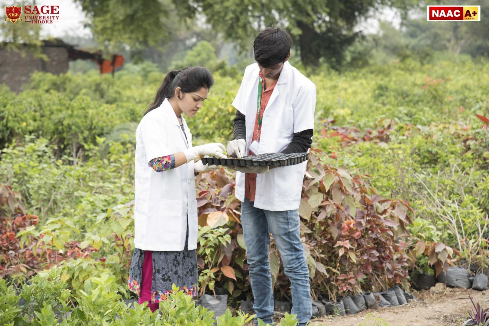 SAGE University Indore Infrastructure photo 7